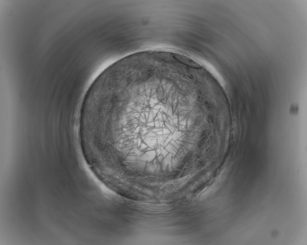 X0000096171007200802011314