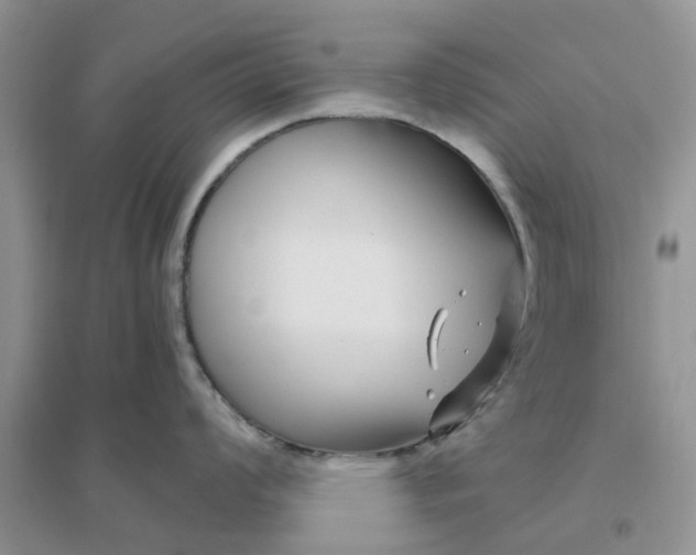 X0000096171008200802011314