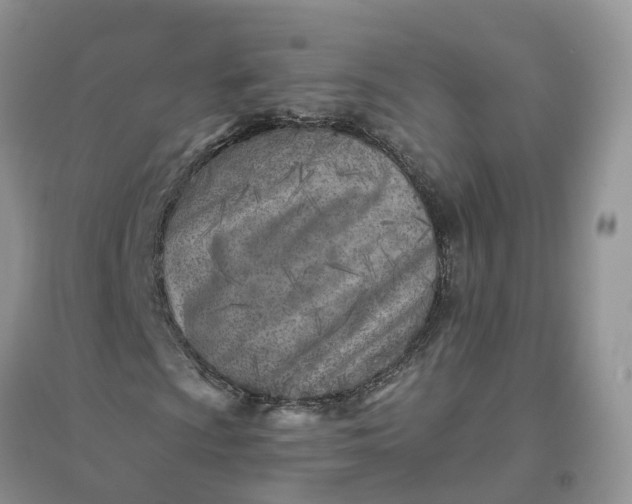 X0000096171009200802011313