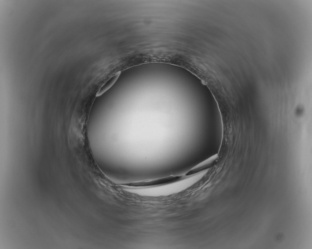 X0000096171010200802011313