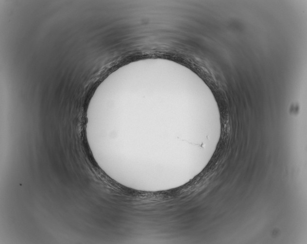 X0000096171012200802011313