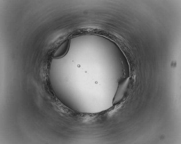 X0000096171014200802011313