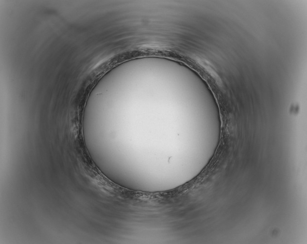 X0000096171015200802011314