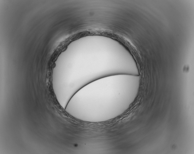 X0000096171016200802011314