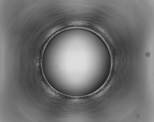 X0000096171017200802011314