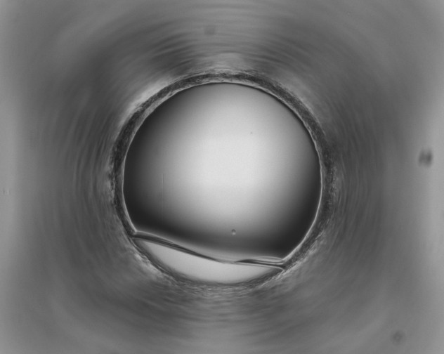 X0000096171018200802011314