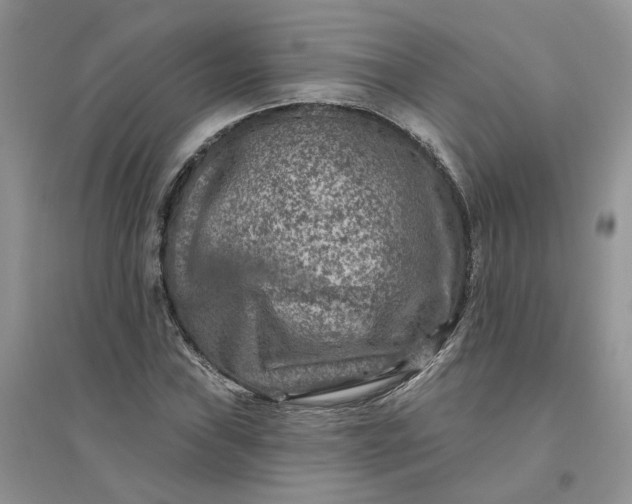 X0000096171019200802011314