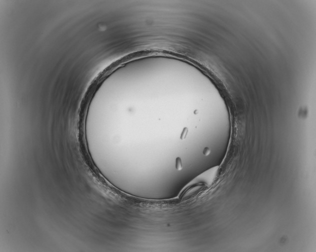 X0000096171020200802011314