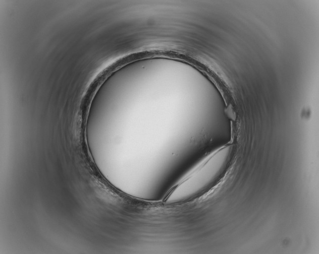 X0000096171021200802011314