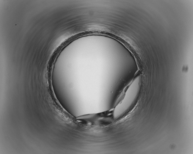 X0000096171022200802011314