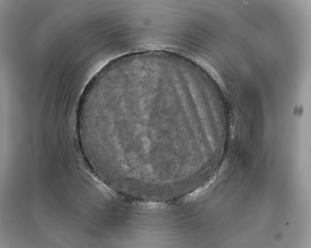 X0000096171023200802011314