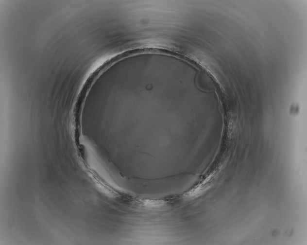 X0000096171024200802011314