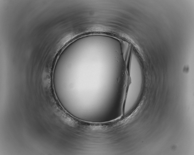 X0000096171025200802011314