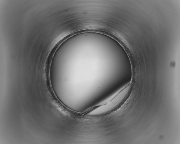 X0000096171026200802011314