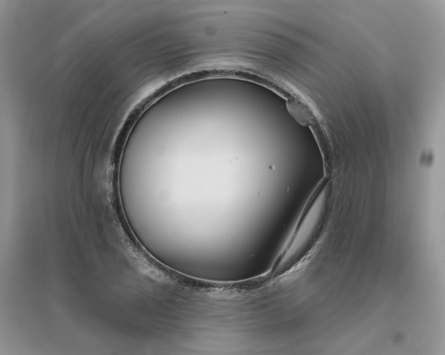 X0000096171029200802011314