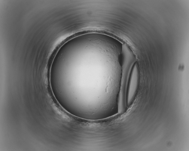 X0000096171030200802011314