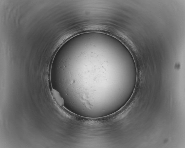 X0000096171033200802011314