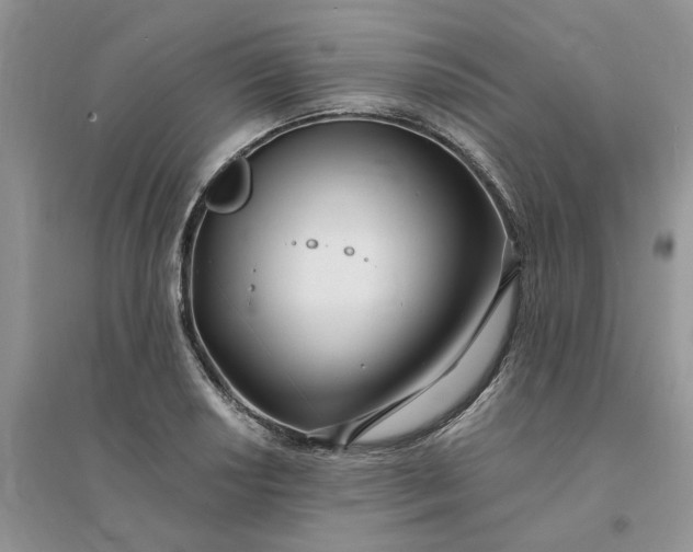 X0000096171034200802011314