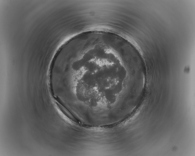 X0000096171037200802011314