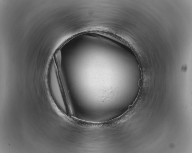 X0000096171038200802011314