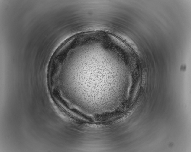 X0000096171039200802011314