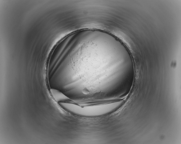 X0000096171040200802011314