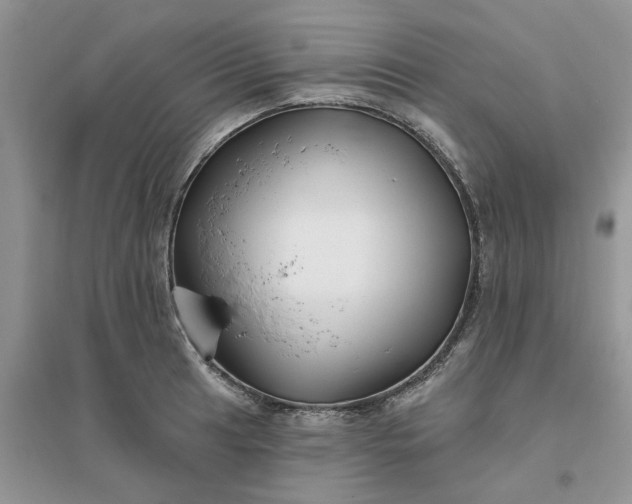 X0000096171041200802011314