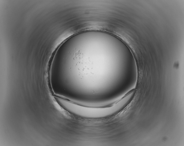 X0000096171042200802011314