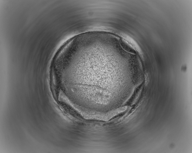 X0000096171043200802011314