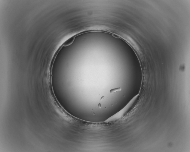 X0000096171044200802011314