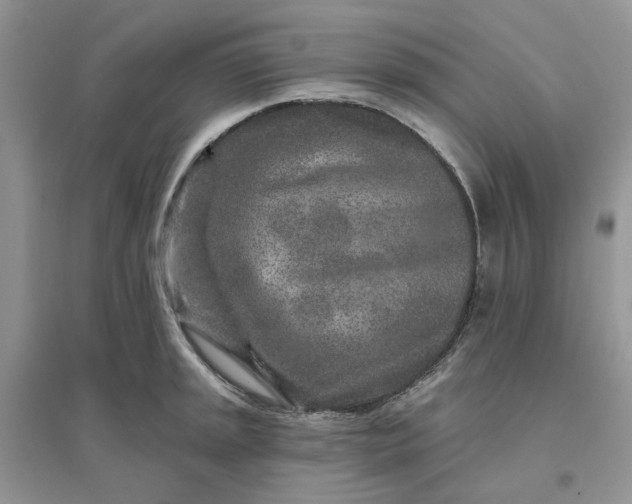 X0000096171045200802011314