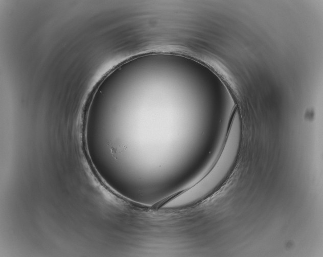 X0000096171046200802011314