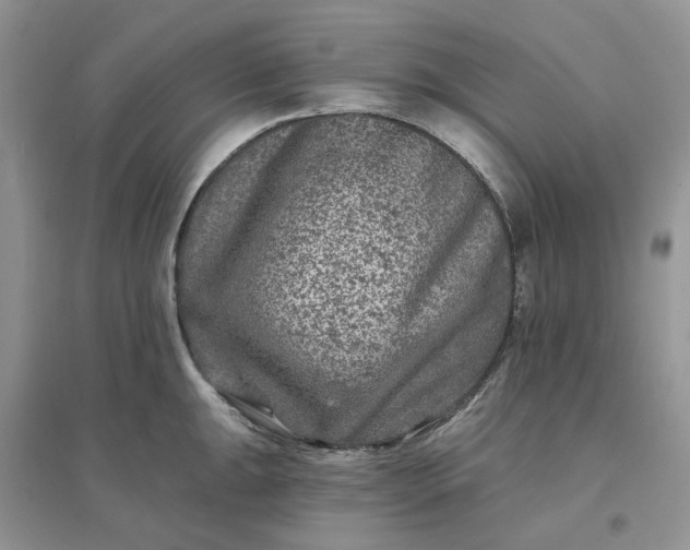 X0000096171047200802011314