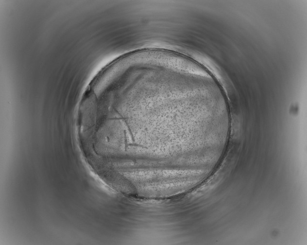 X0000096171048200802011314