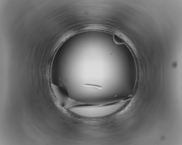 X0000096171049200802011314