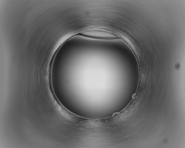 X0000096171050200802011314