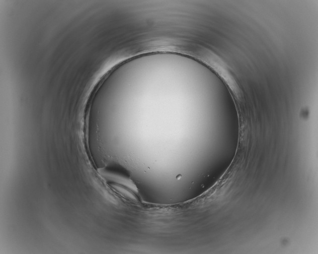 X0000096171051200802011314