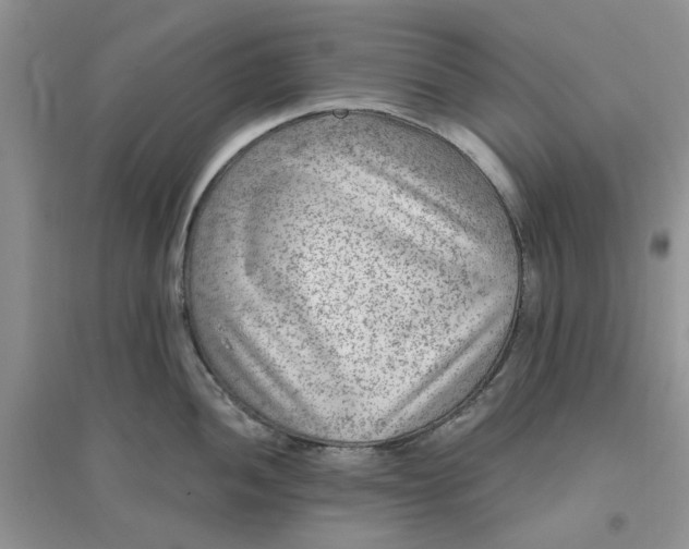 X0000096171052200802011314