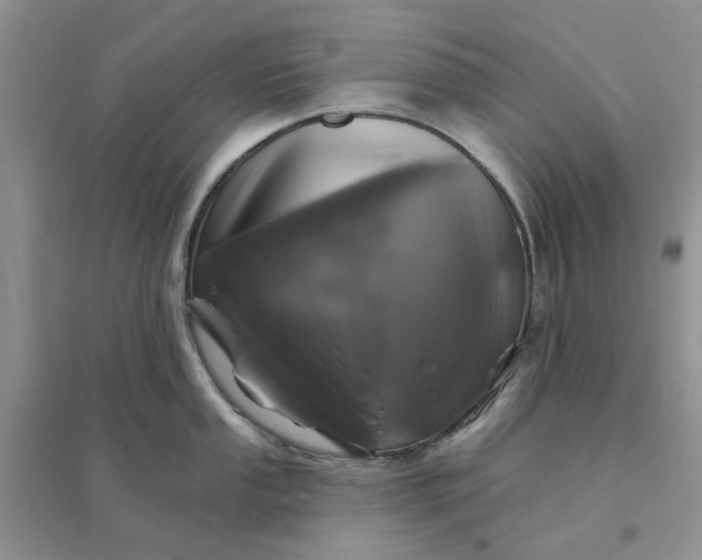 X0000096171053200802011314