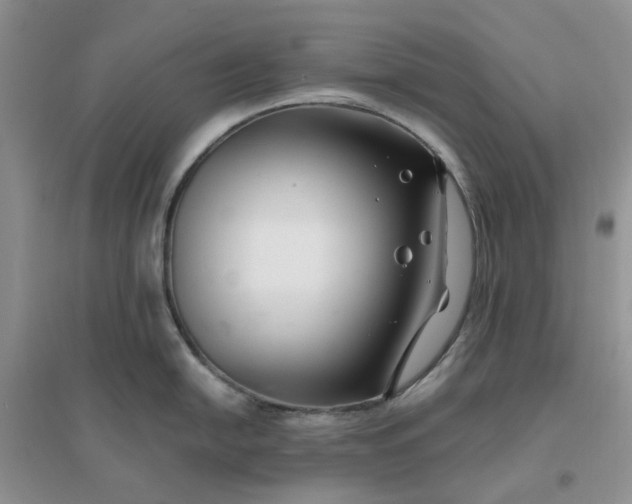 X0000096171054200802011314