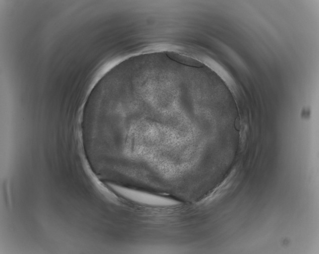 X0000096171055200802011314