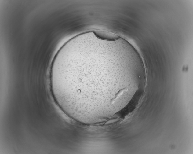 X0000096171056200802011314