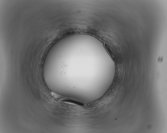 X0000096171057200802011313