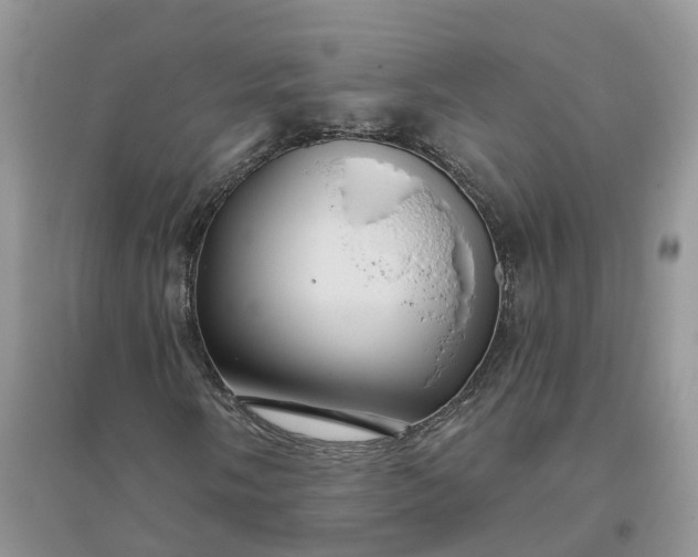 X0000096171058200802011313