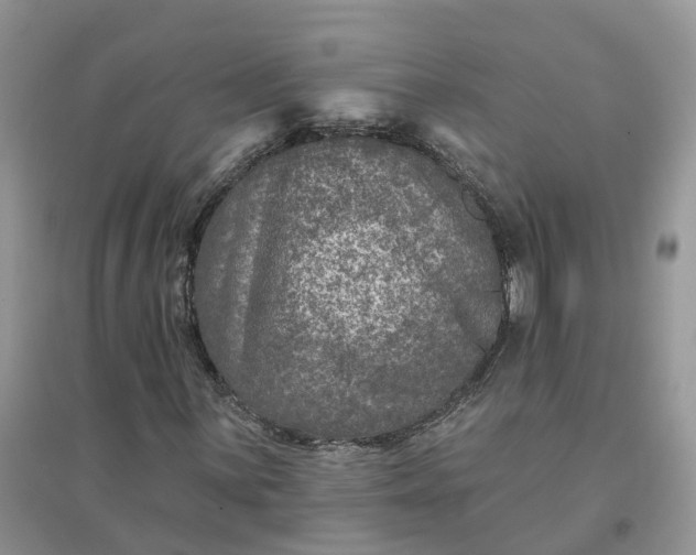 X0000096171059200802011313