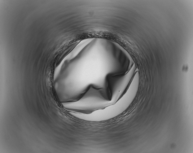 X0000096171060200802011313