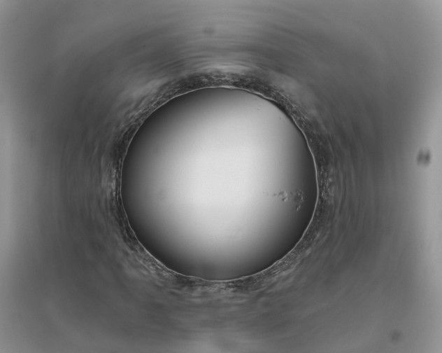 X0000096171061200802011313