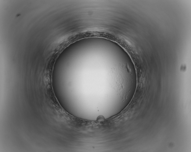 X0000096171062200802011313