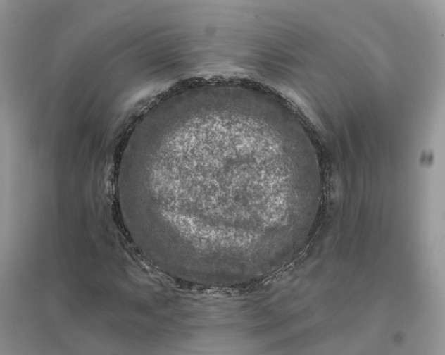 X0000096171063200802011313