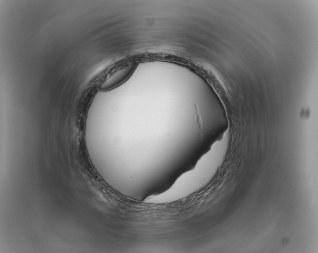 X0000096171064200802011313